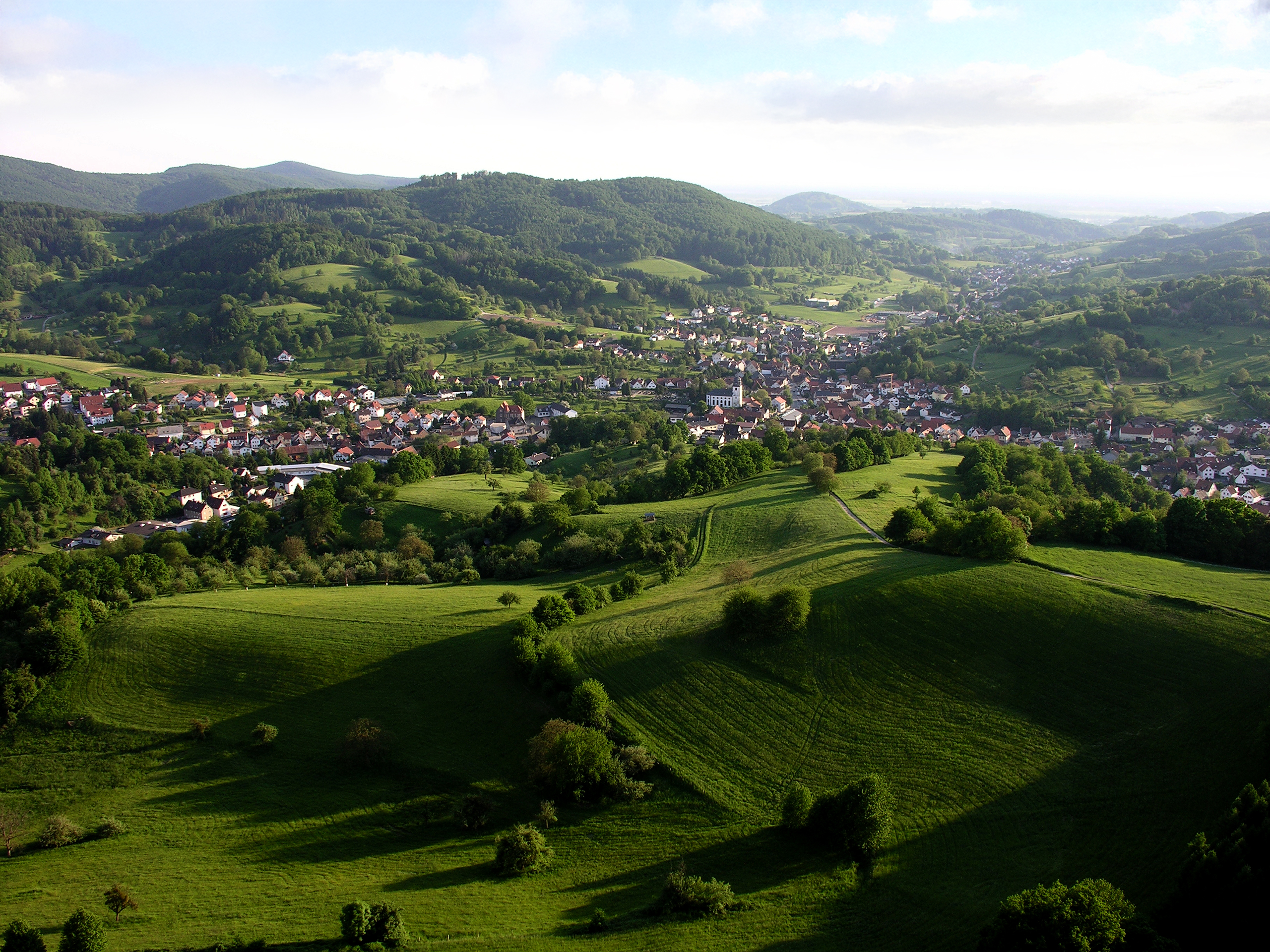 Blick auf Reichenbach