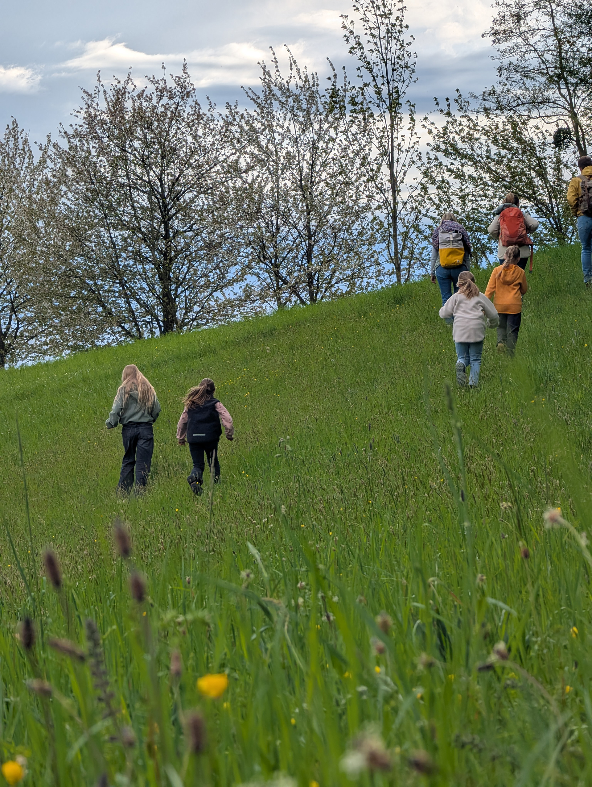 Wiese mit Menschen in Reichenbach