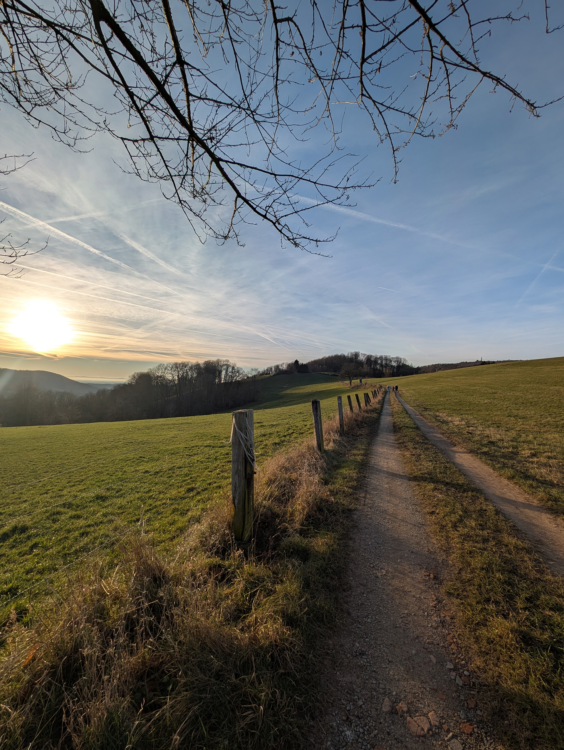 Weg auf dem Zehnes in Reichenbach