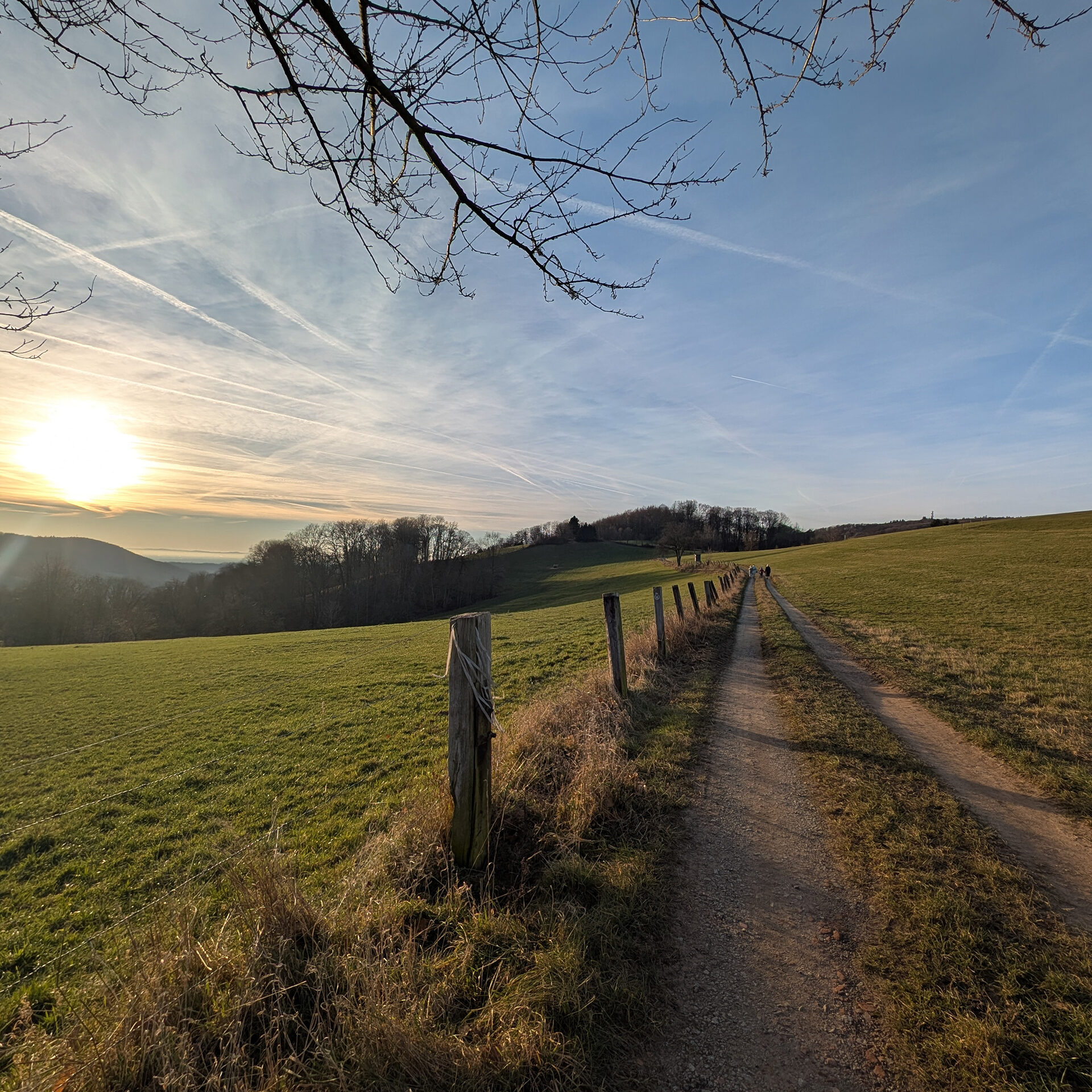 Weg auf dem Zehnes in Reichenbach